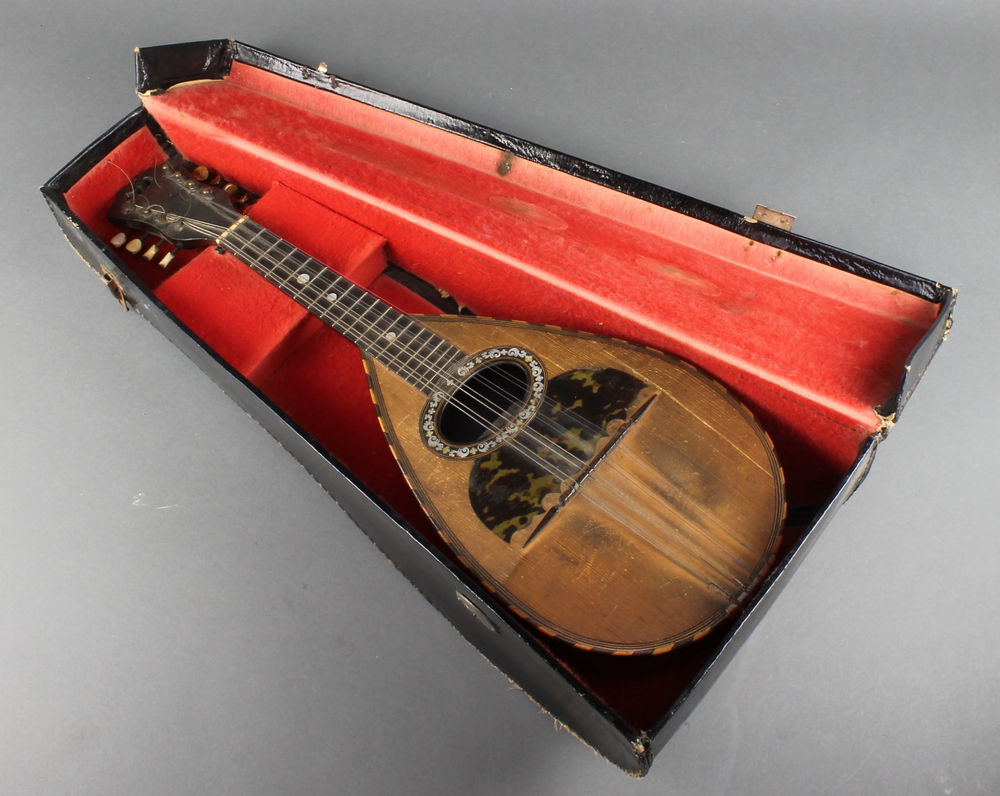 Geordie Mandoliniさん専用 Kentucky KM-855 Artist F-model Mandolin – Amberburst - Saga