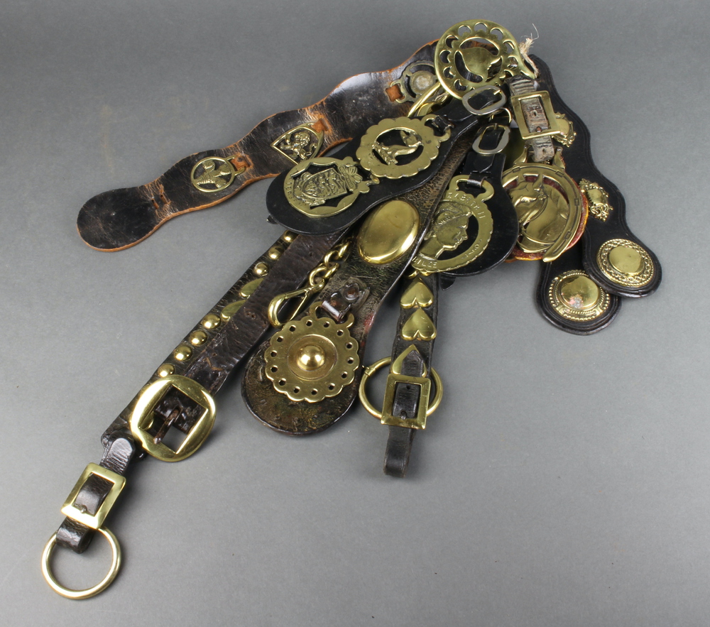 Six leather martingales hung horse brasses 10th March 2022 Denhams